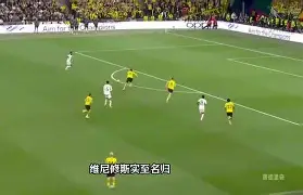 维尼修斯成功零封海港，门将赛后获得全场最佳的简单介绍